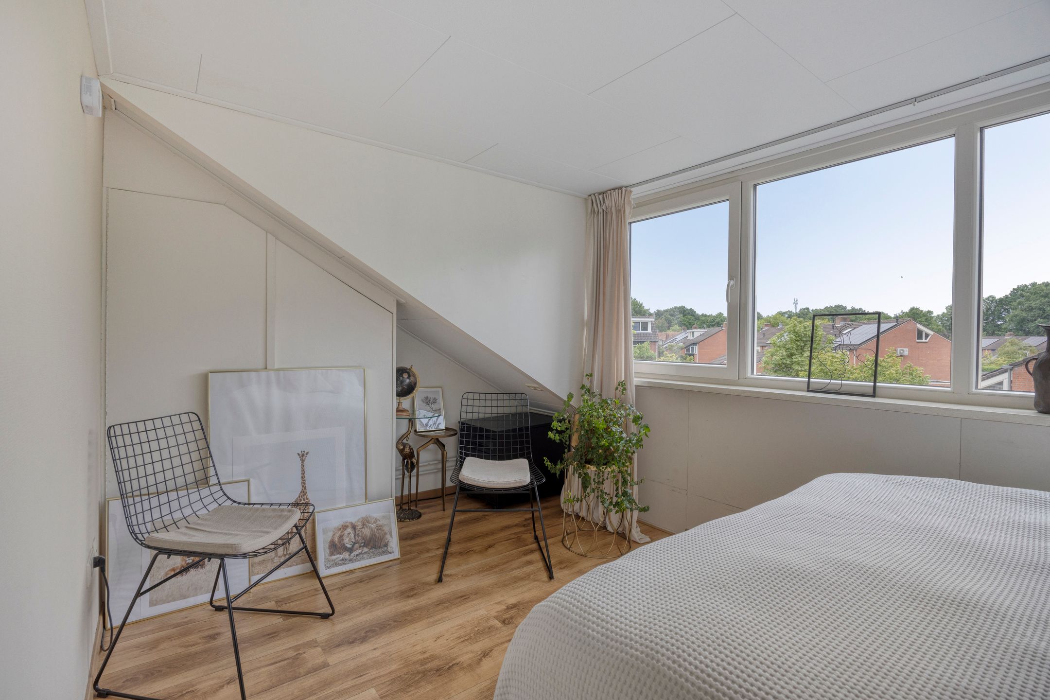 Foto 21 van Doornappel 8