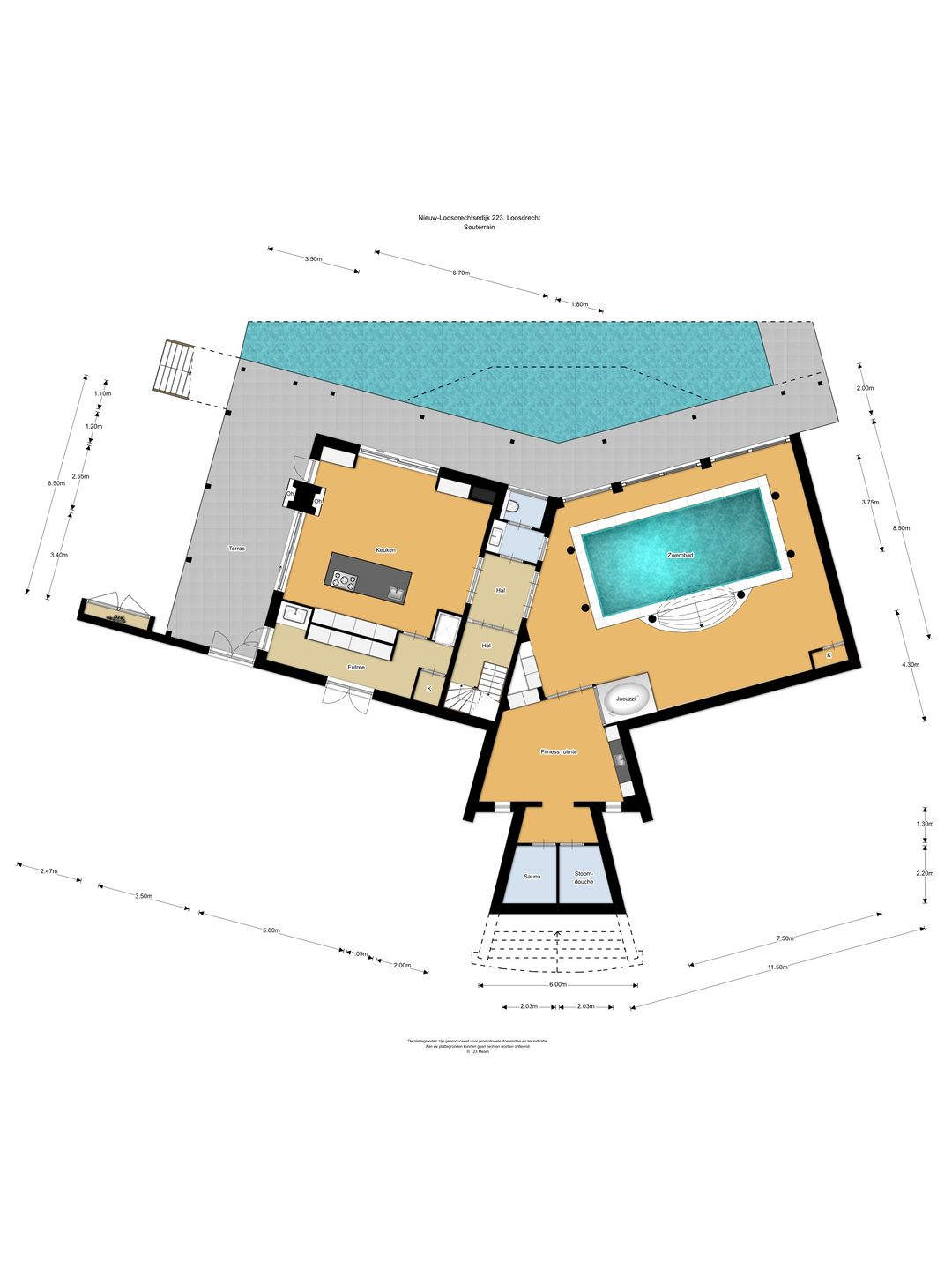 Foto 43 van Nieuw-Loosdrechtsedijk 223