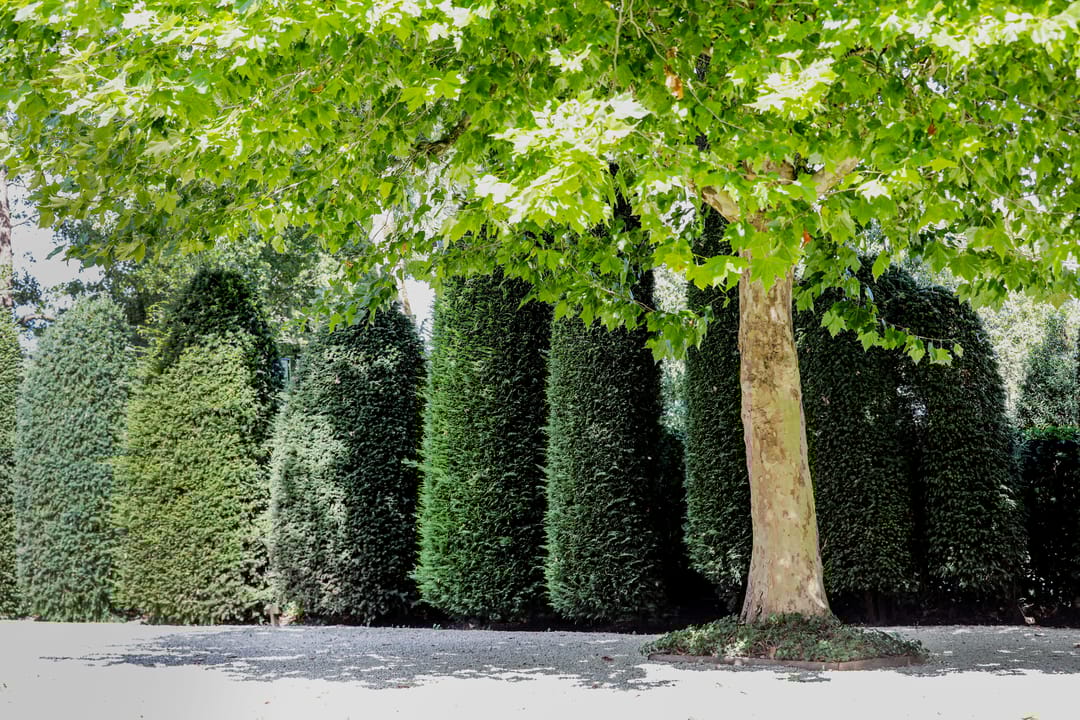 Foto 56 van Nieuw-Loosdrechtsedijk 223