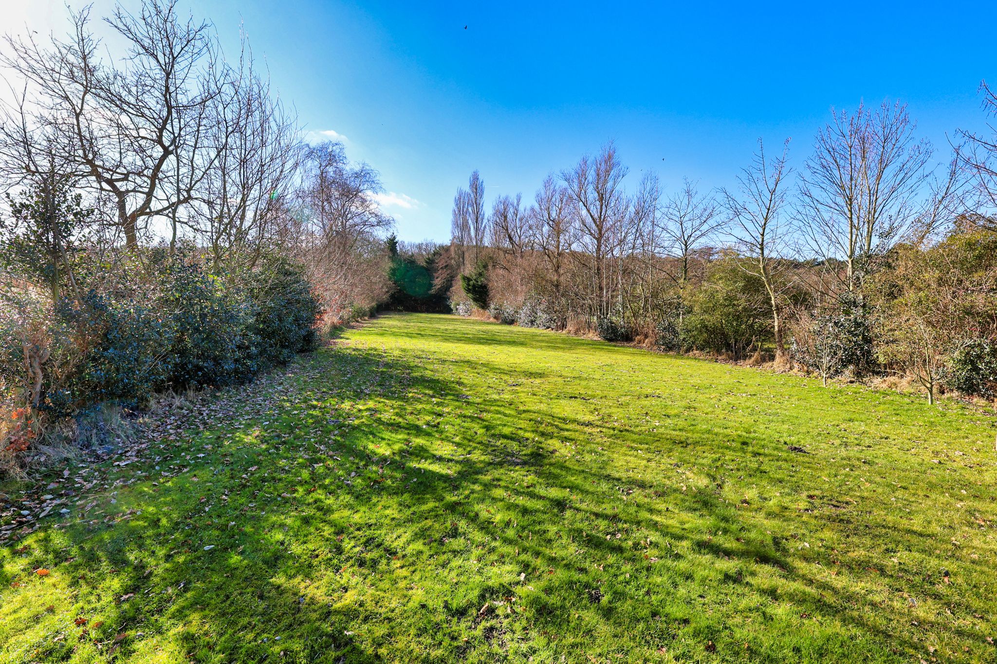 Foto 9 van Heereweg 125