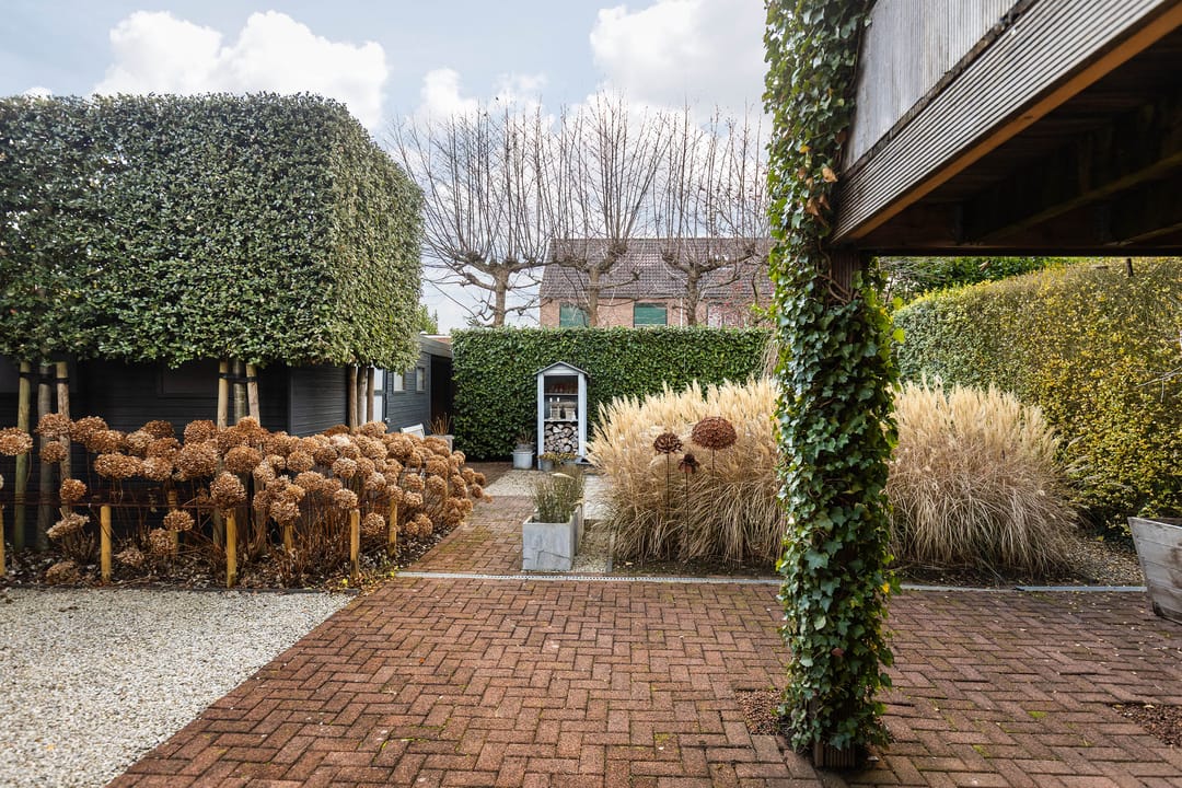 Photo 37 of Langweide 11