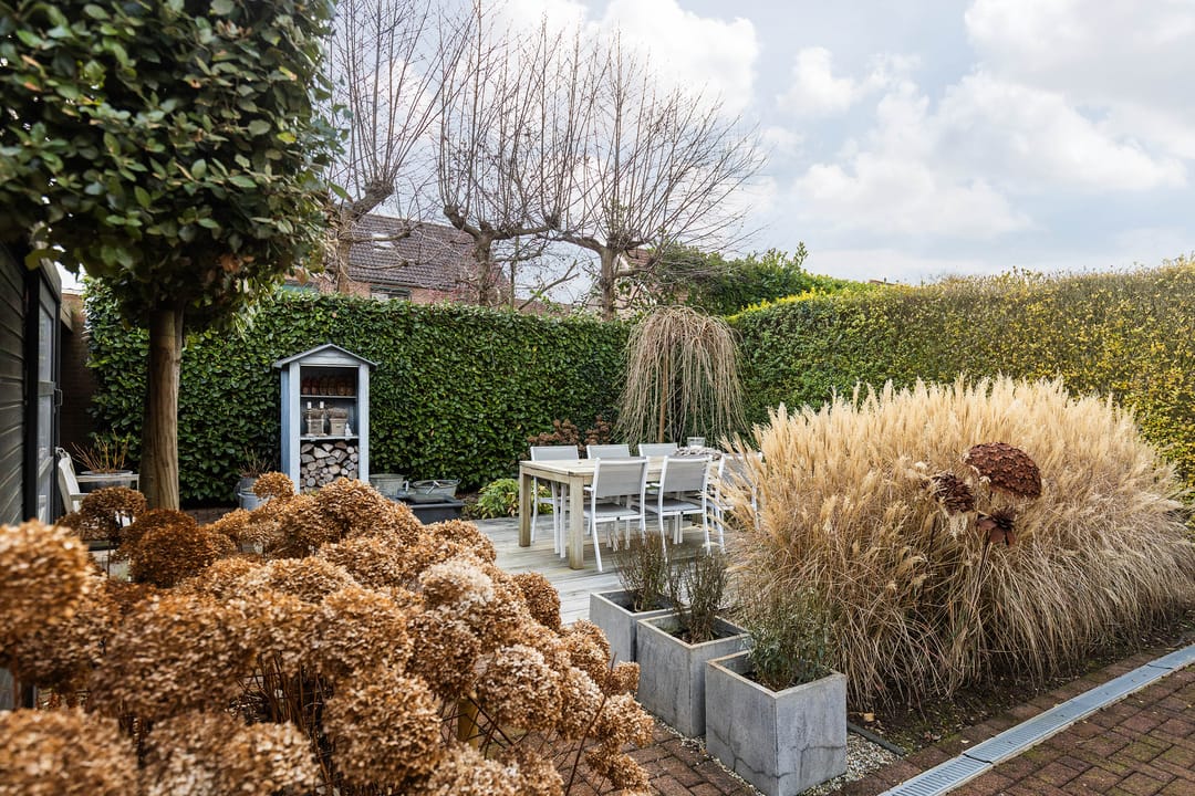 Photo 38 of Langweide 11