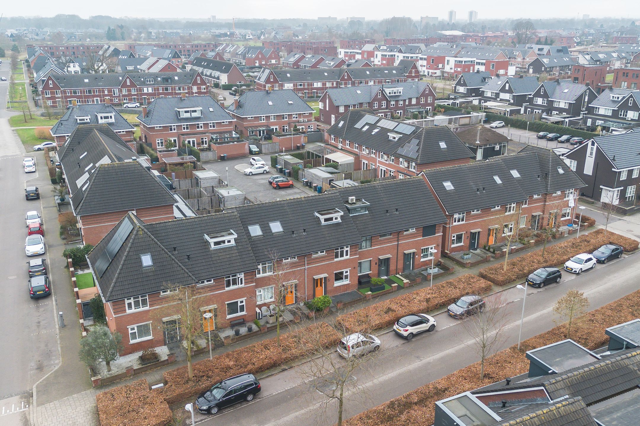 Photo 33 of Oesterzwam 32