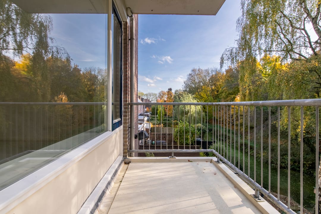 Foto 7 van Edelvalk 8