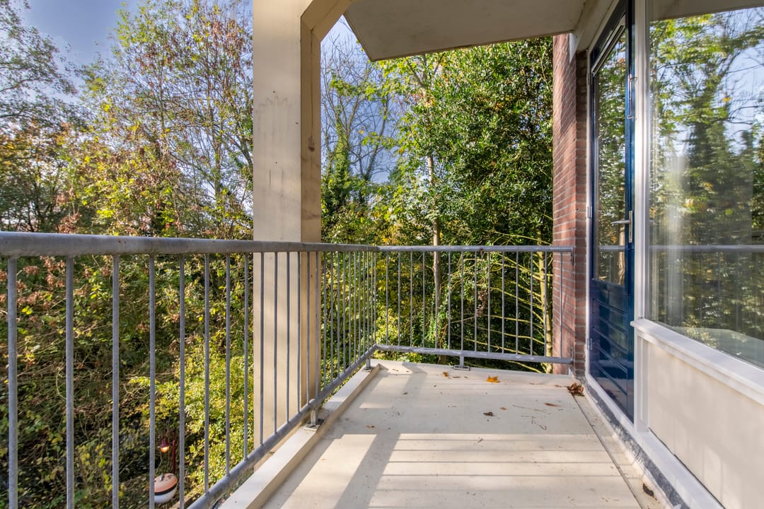 Foto 8 van Edelvalk 8