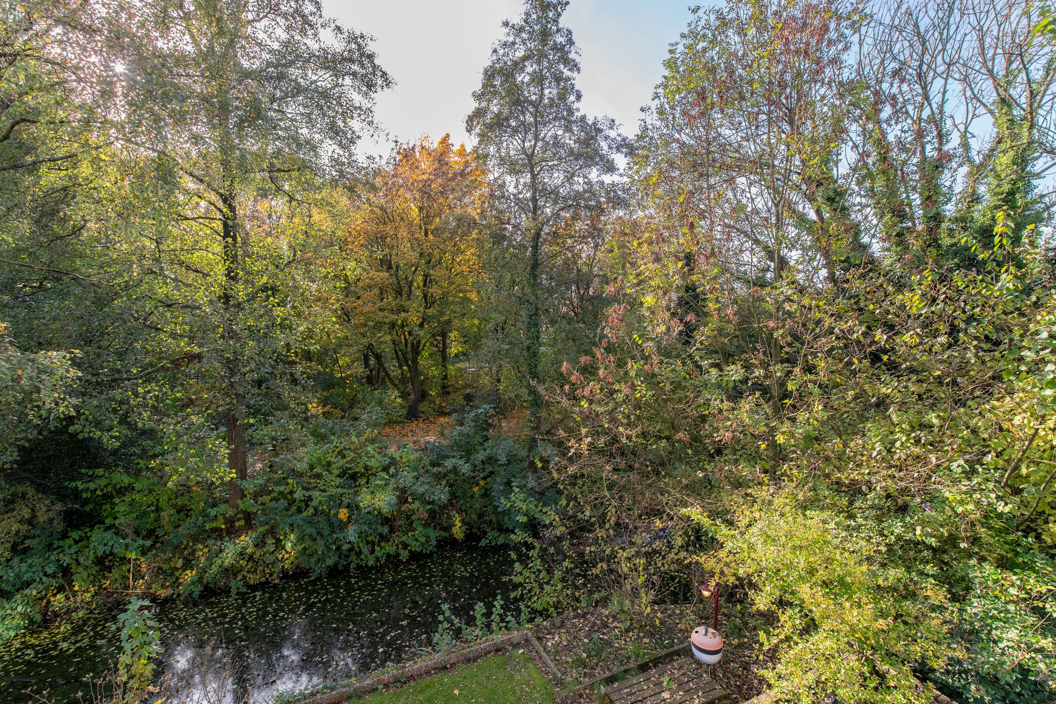 Foto 9 van Edelvalk 8