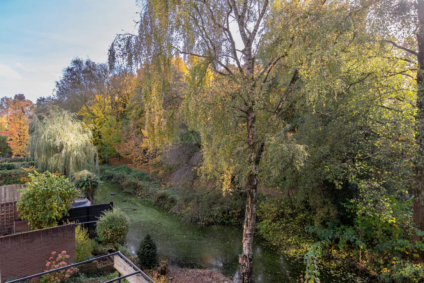 Foto 10 van Edelvalk 8