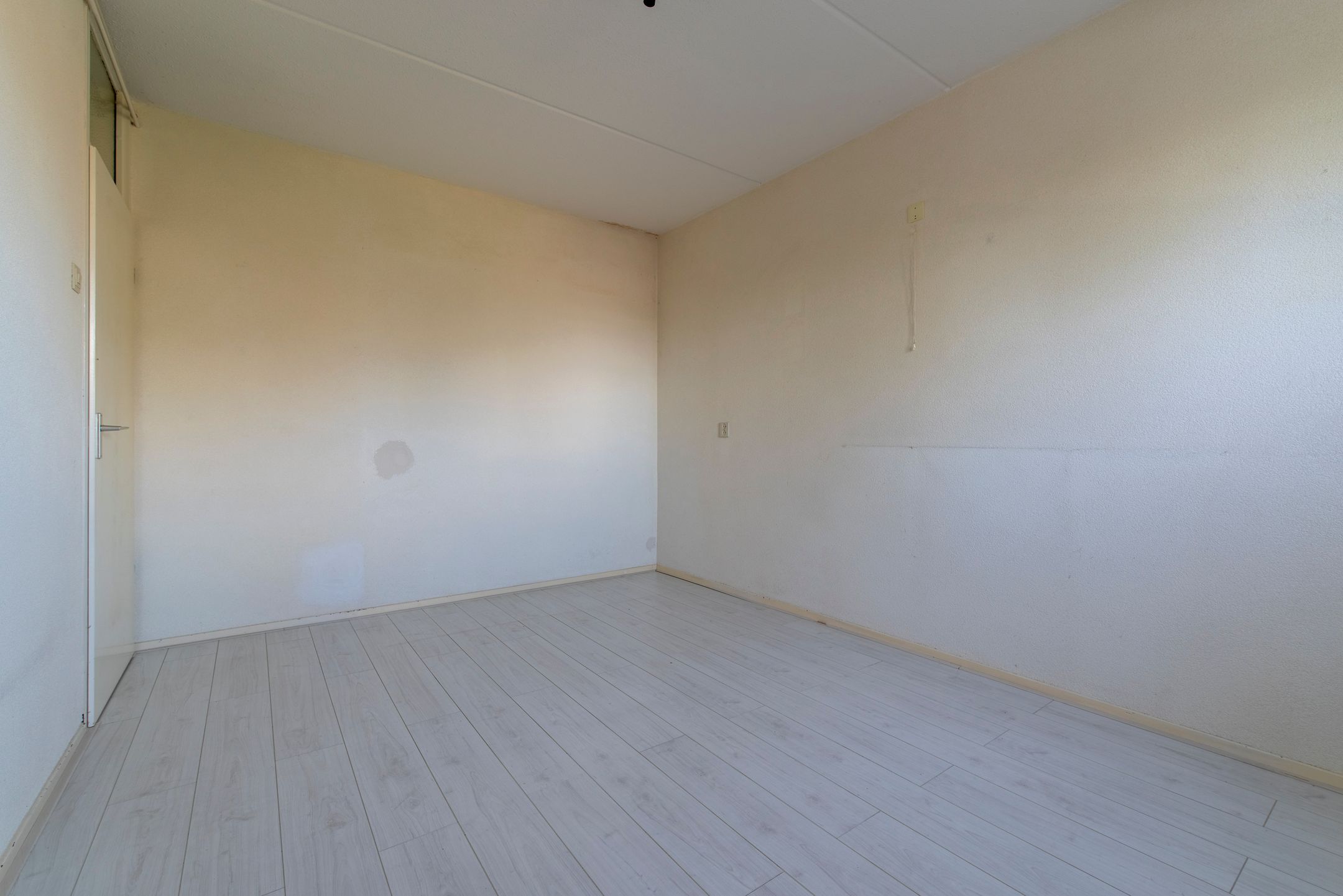 Foto 12 van Edelvalk 8