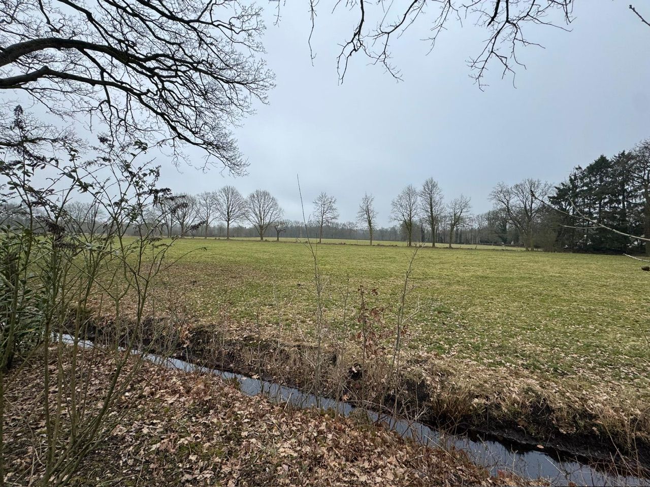 Foto 6 van Laan van Laag Kanje 1-432