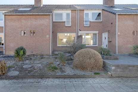 Sleedoornstraat thumbnail