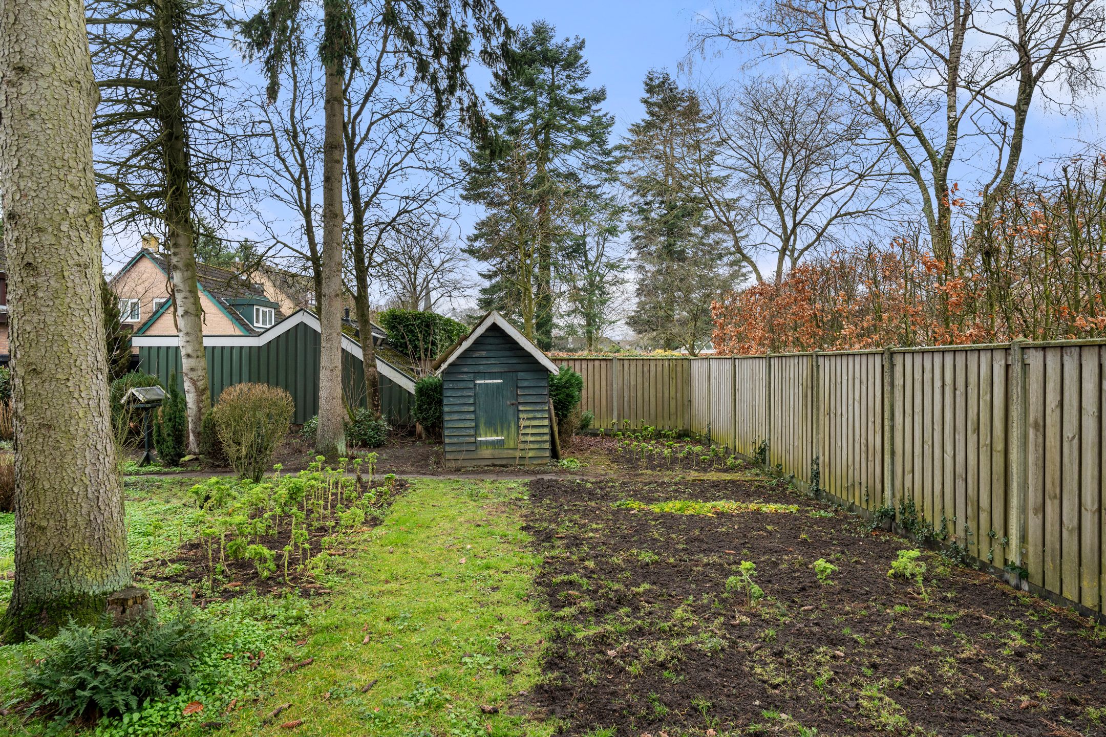 Foto 45 van Sportlaan 15