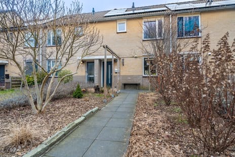 Boerhoorndreef thumbnail