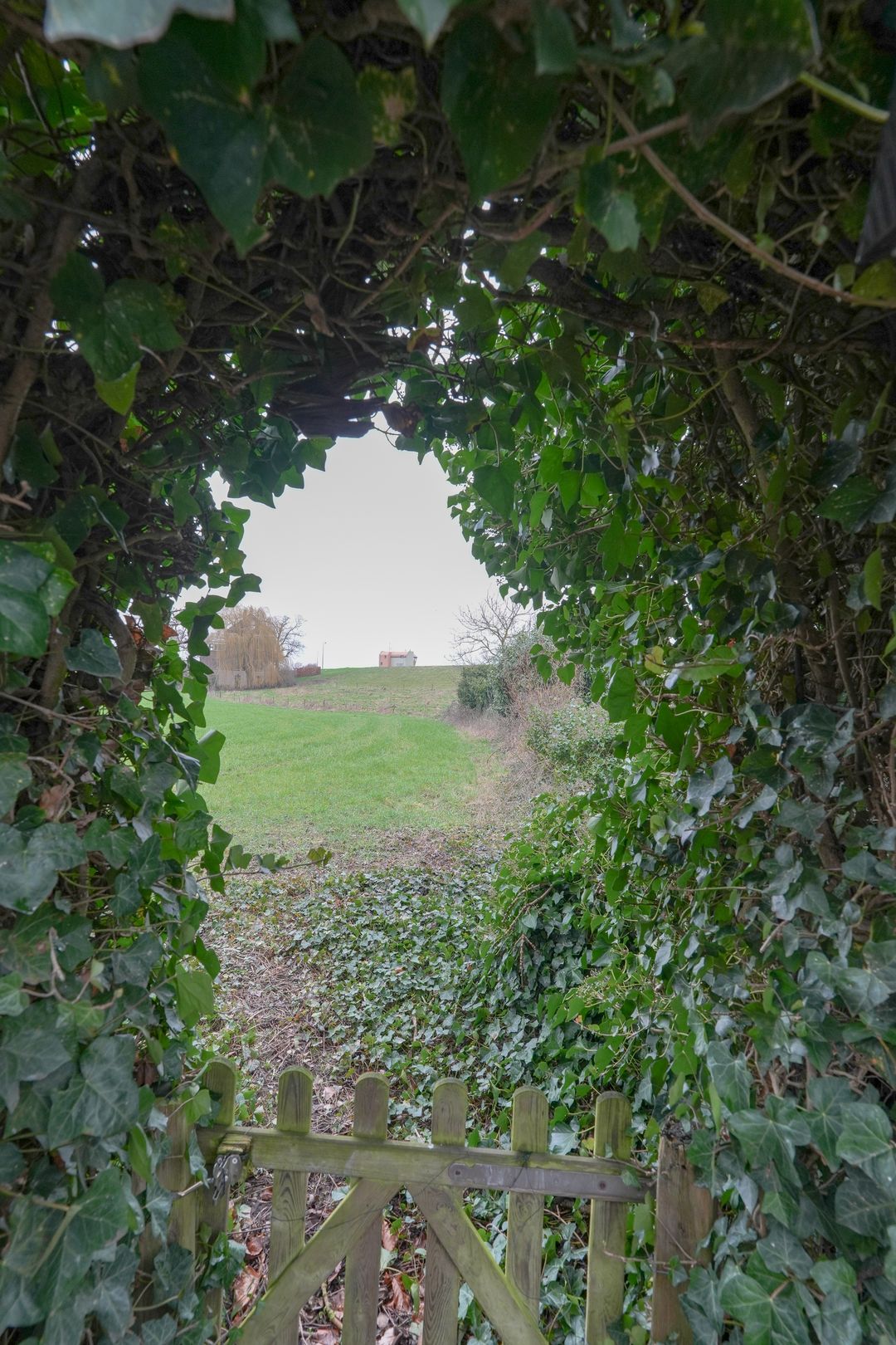 Foto 46 van Rivierstraat 1-A