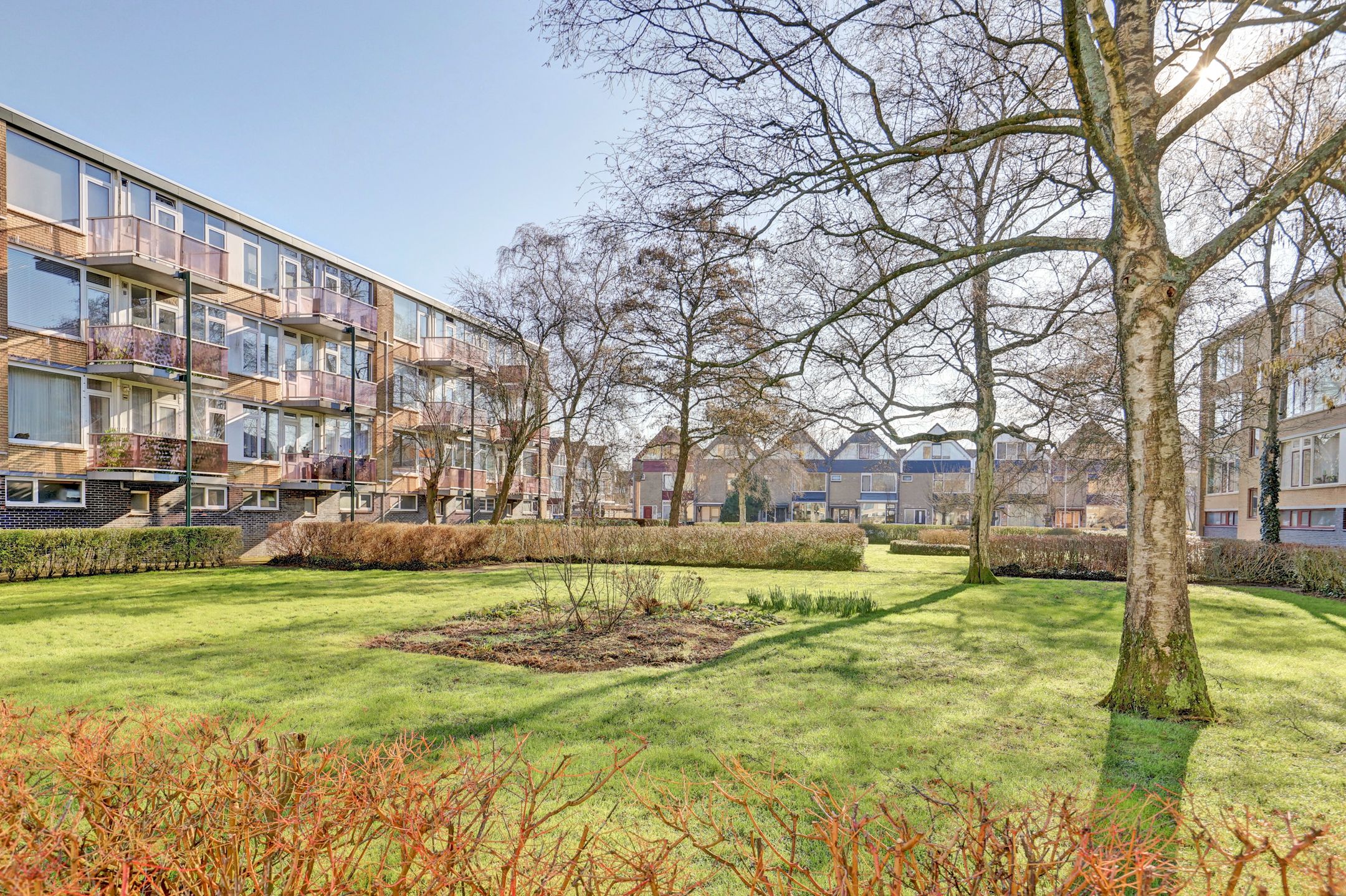 Foto 3 van Van Anrooystraat 417