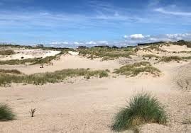 Foto 50 van Zwolsestraat 390