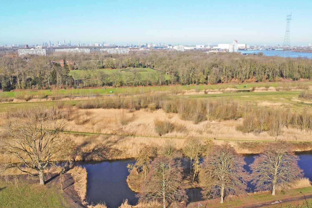 Foto 31 van Van Anrooystraat 417