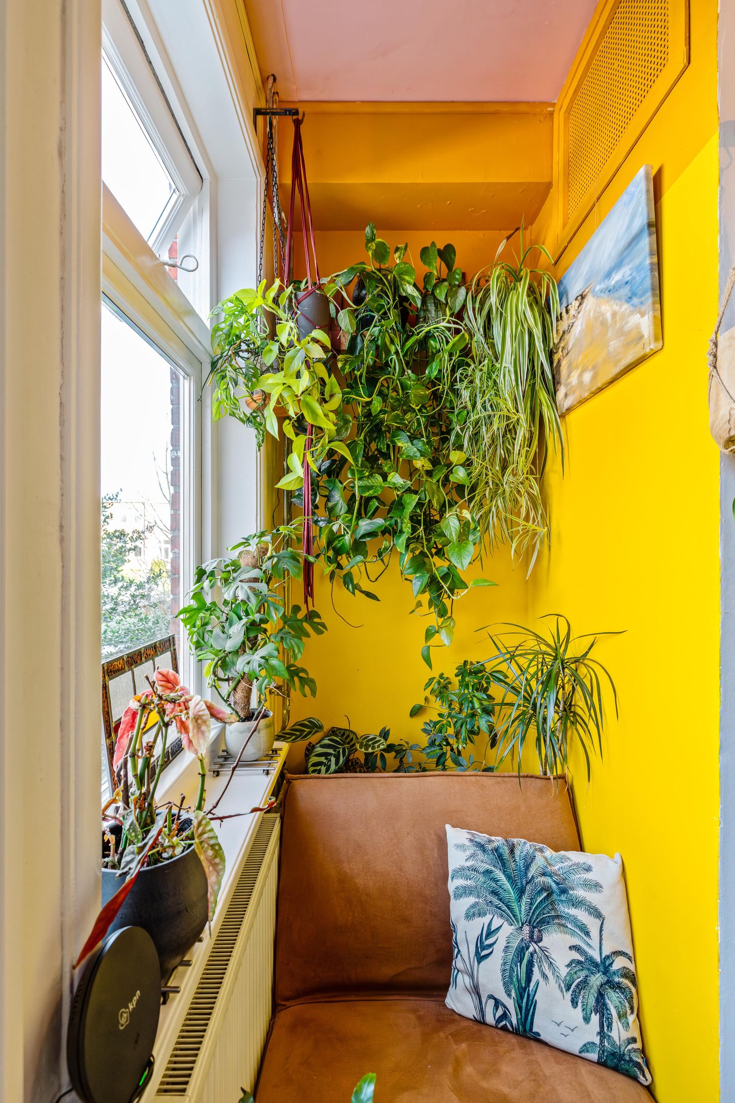 Foto 29 van Landstraat 6