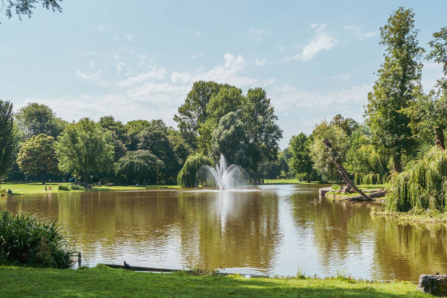 Foto 25 van Mauritskade 21-C