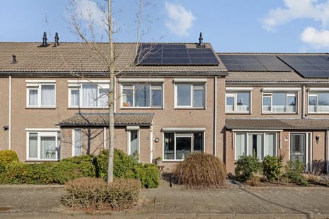 undefined main image