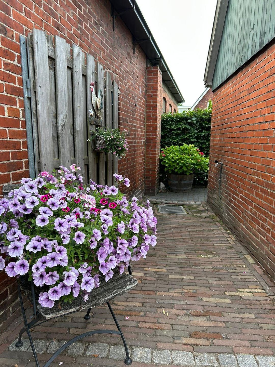 Foto 28 van Foarstrjitte 63