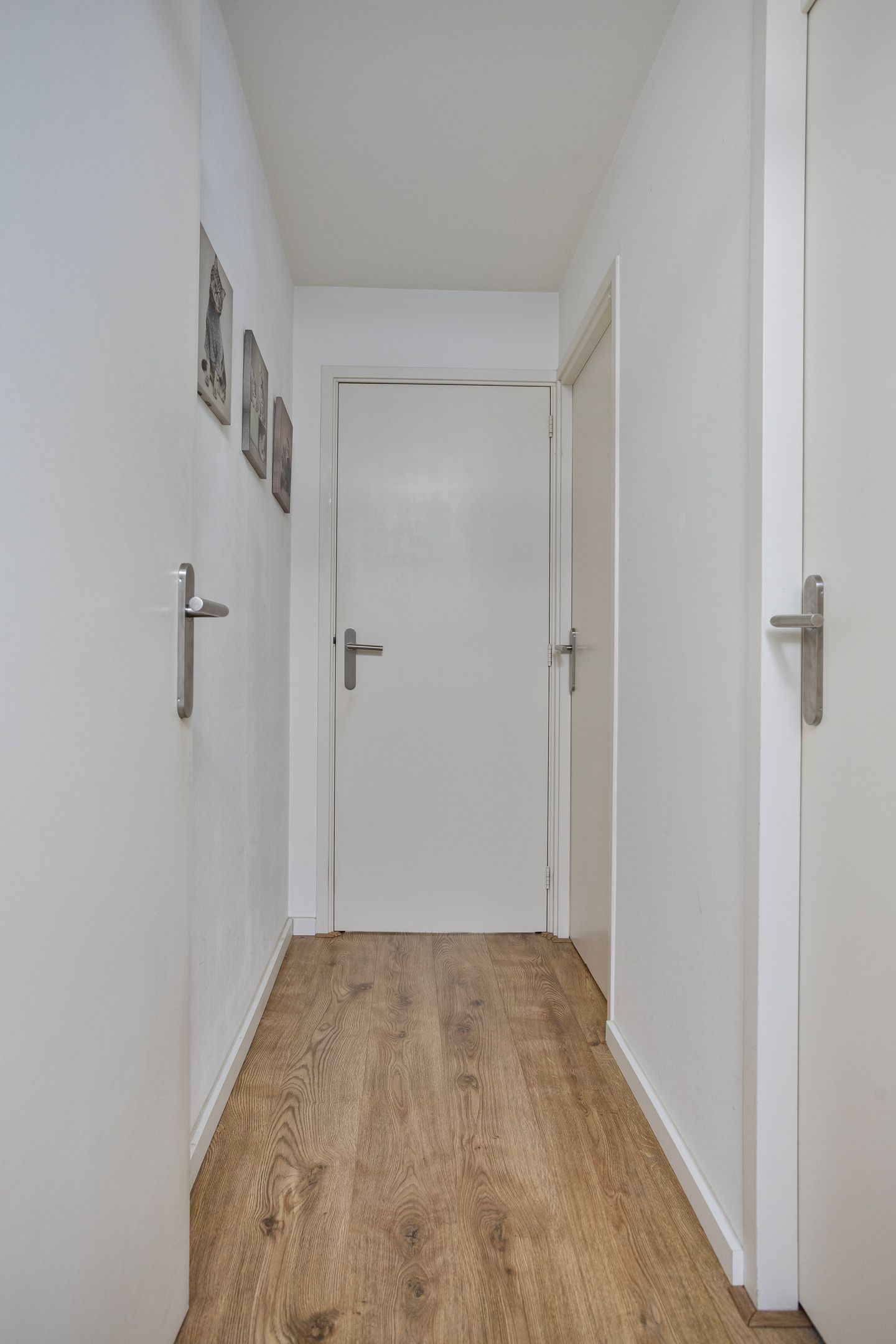 Foto 14 van Rondedans 44