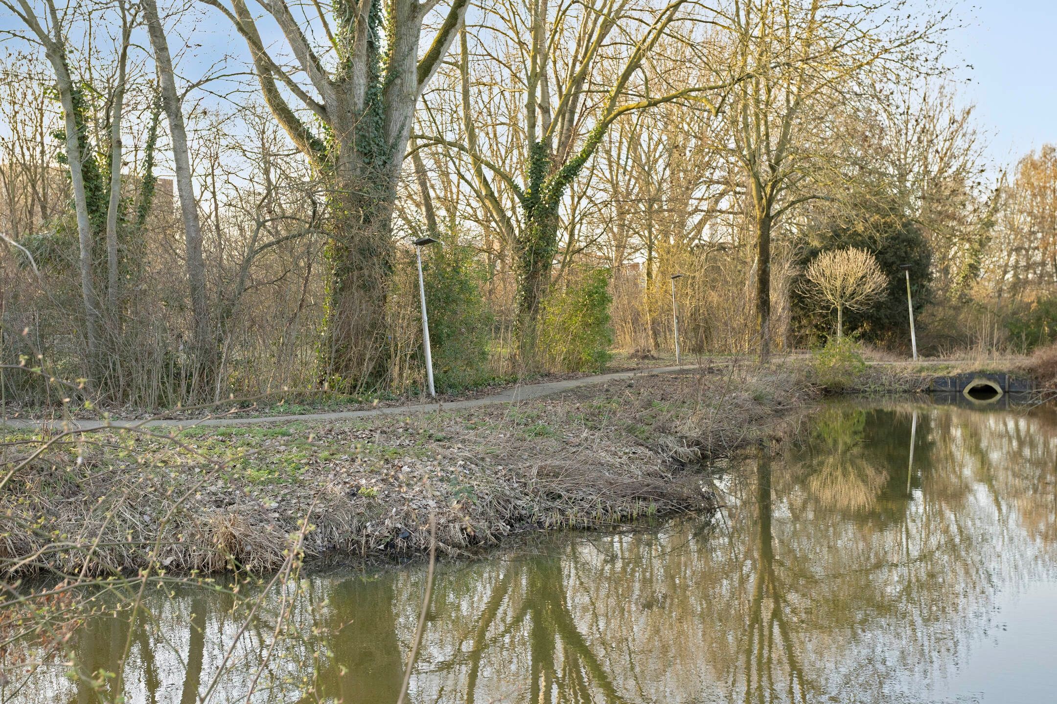 Foto 27 van Rondedans 44