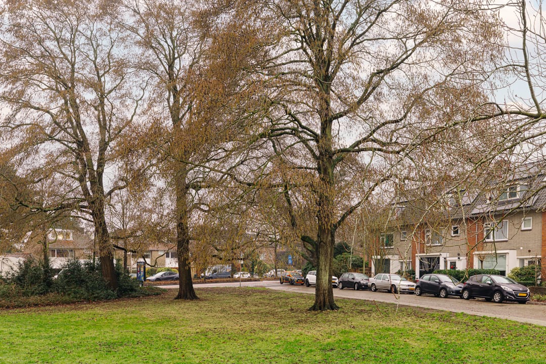 Foto 38 van Rozenplein 9