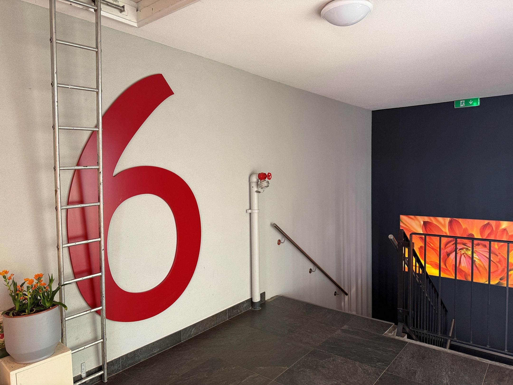 Foto 15 van Wijenburglaan 165