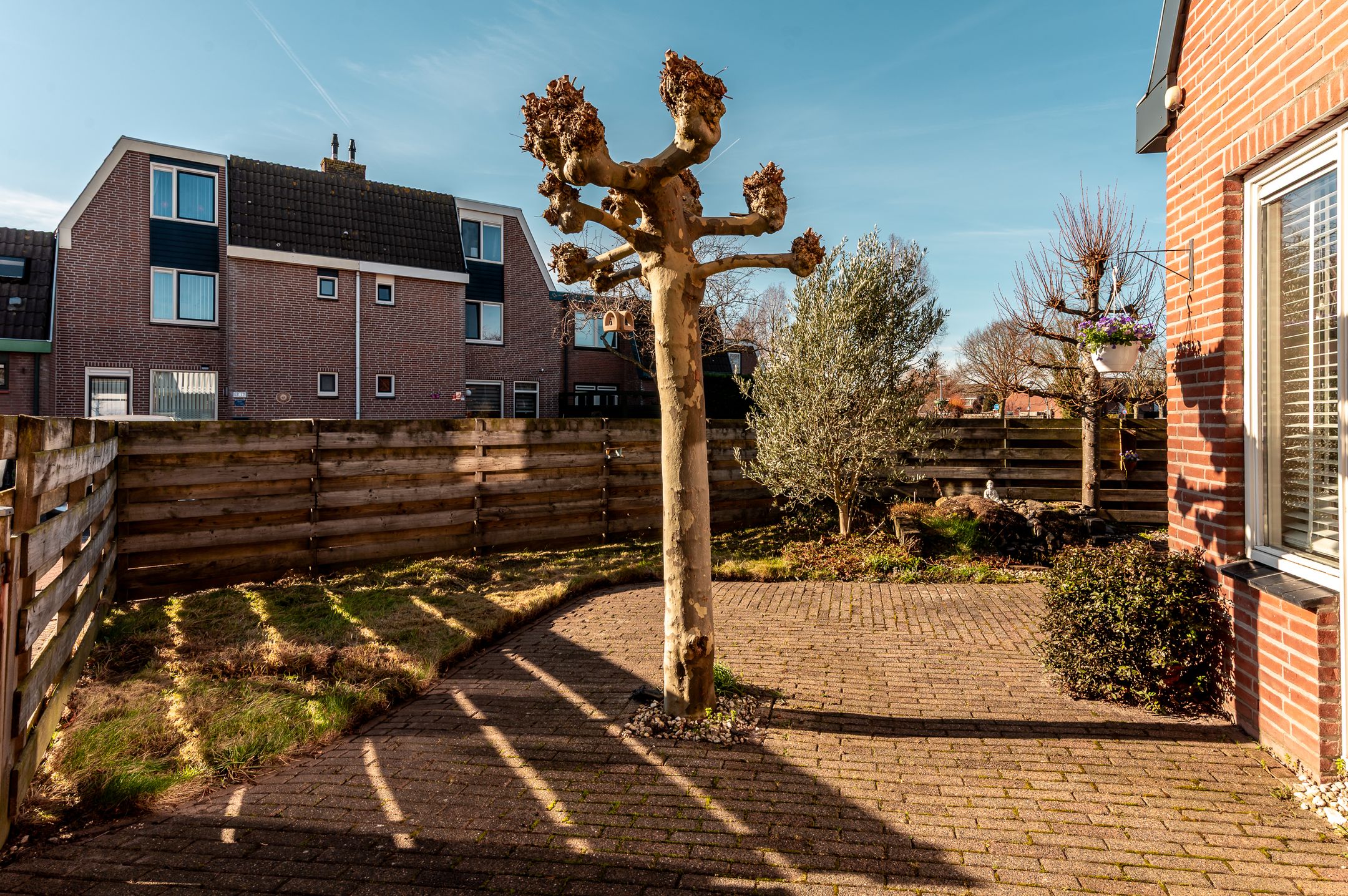 Foto 42 van Jol 15 14