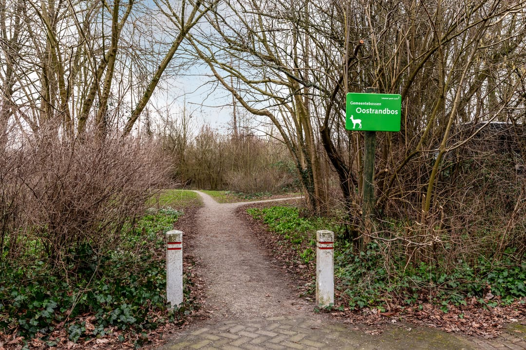 Foto 46 van Oostrandpark 117