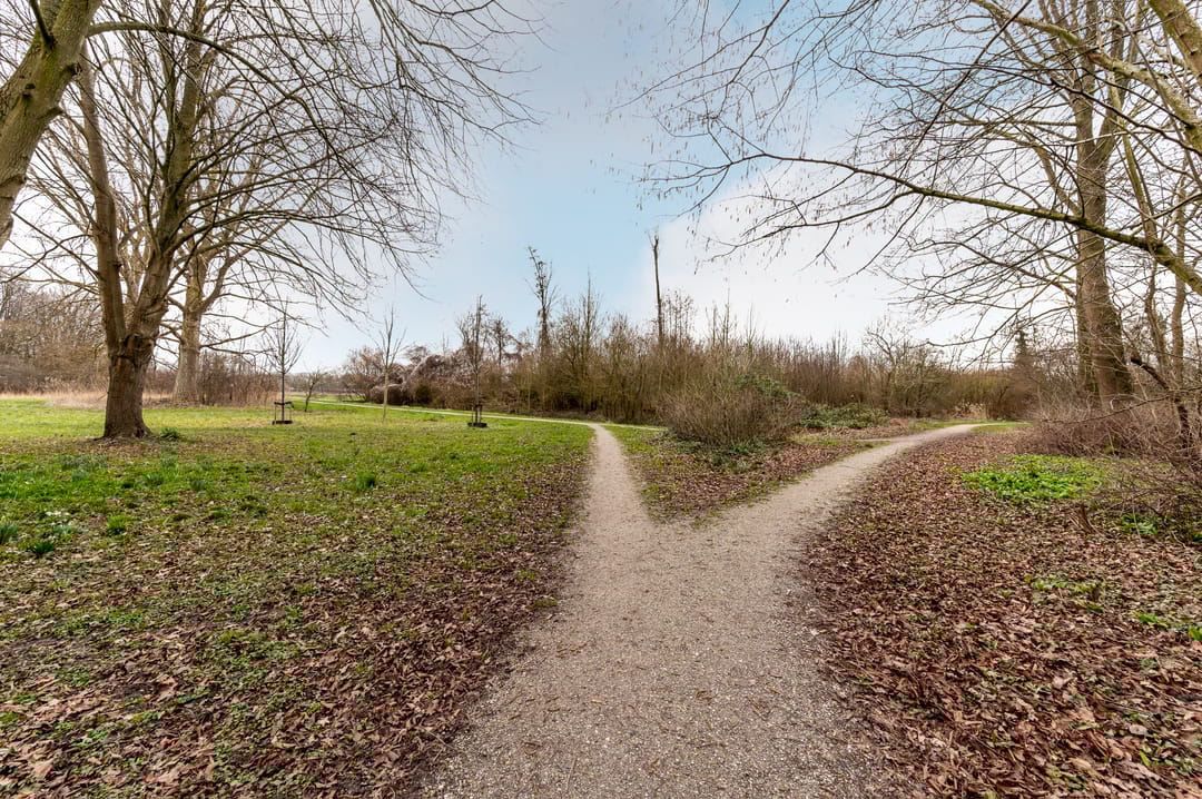 Foto 47 van Oostrandpark 117