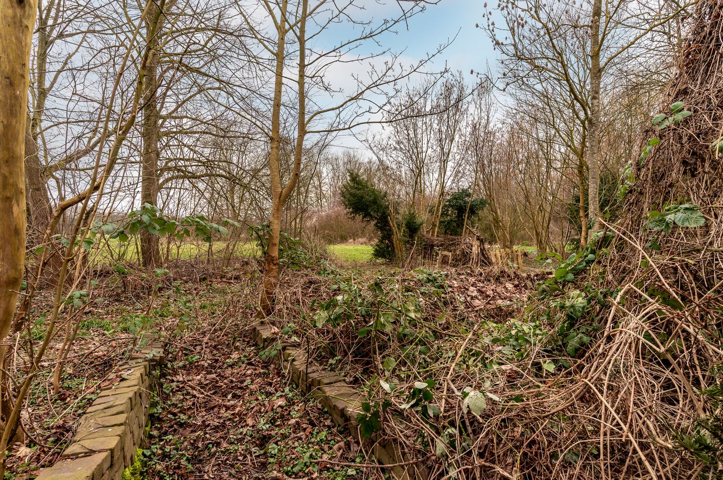 Foto 35 van Oostrandpark 117