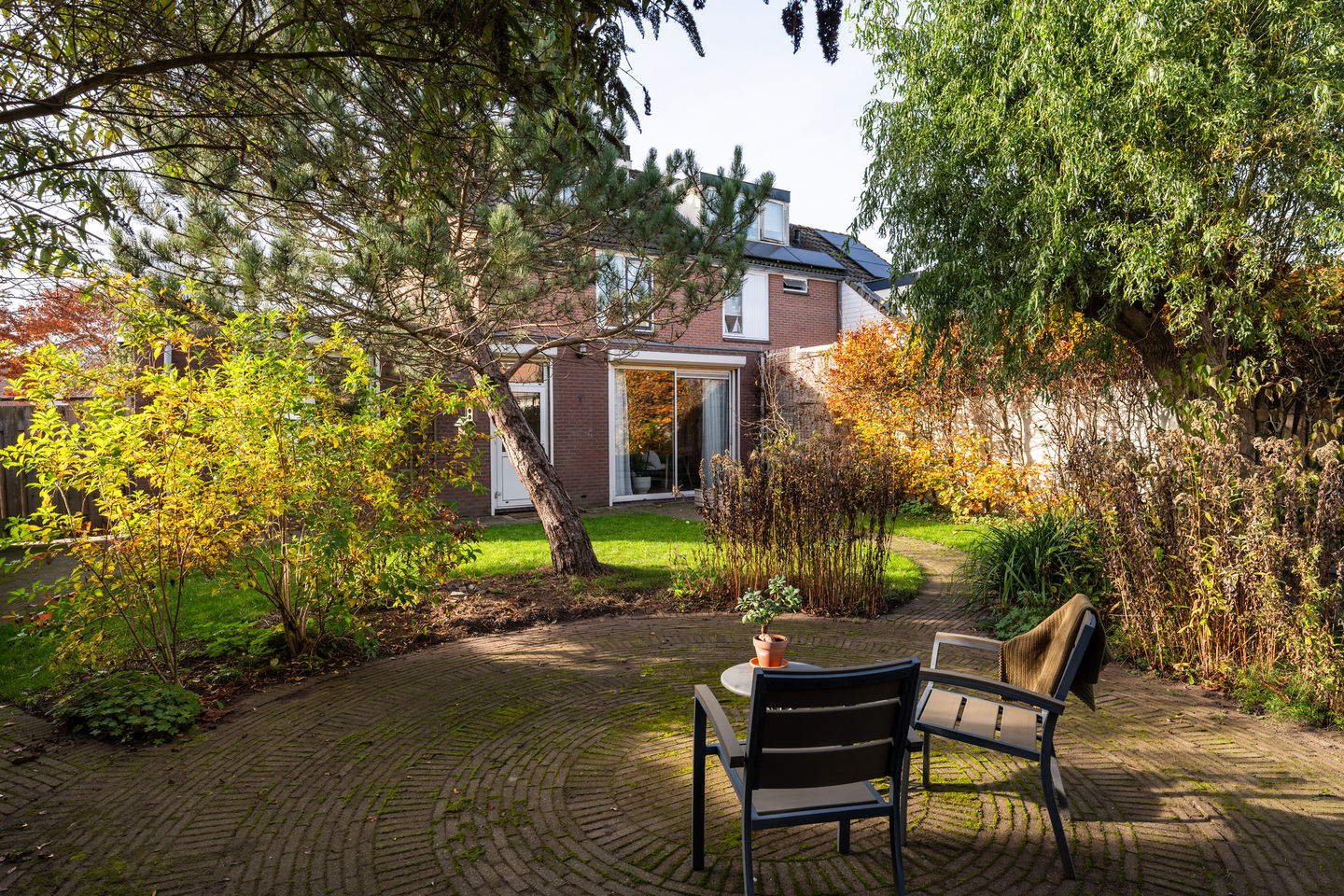 Foto 29 van Pinksterbloem 57