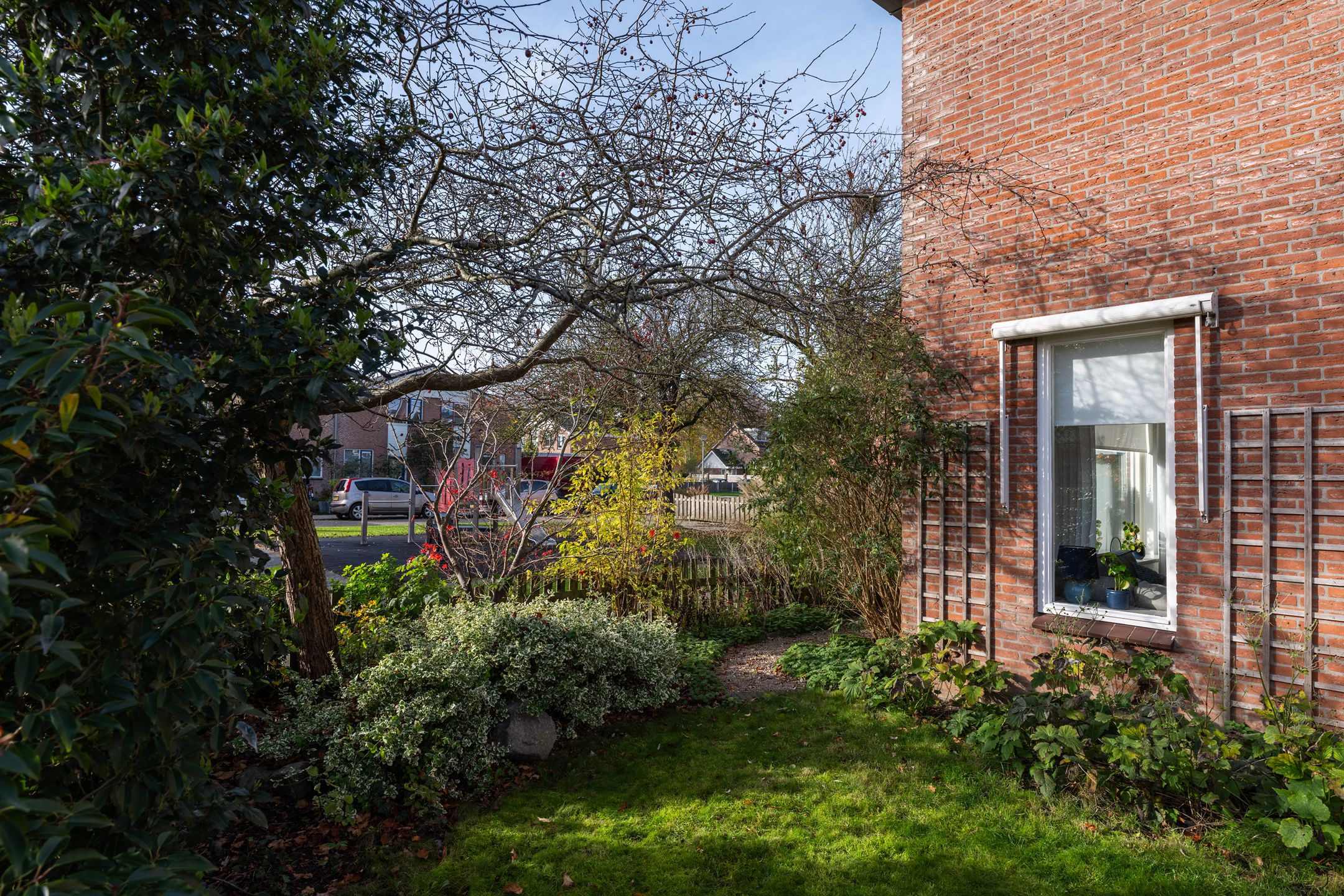 Foto 33 van Pinksterbloem 57