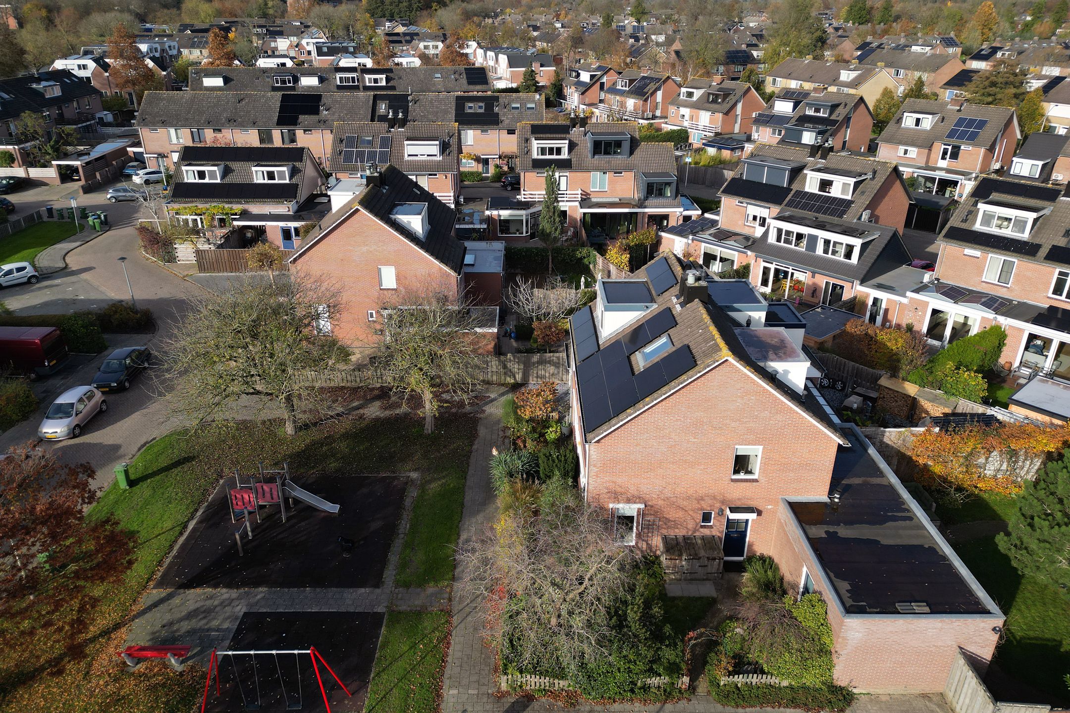 Foto 36 van Pinksterbloem 57