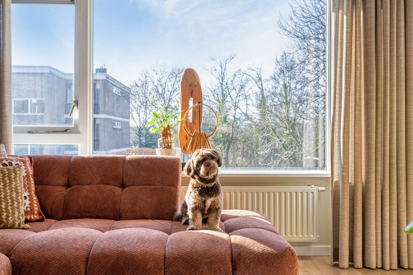 Foto 10 van Koeriersterweg 51