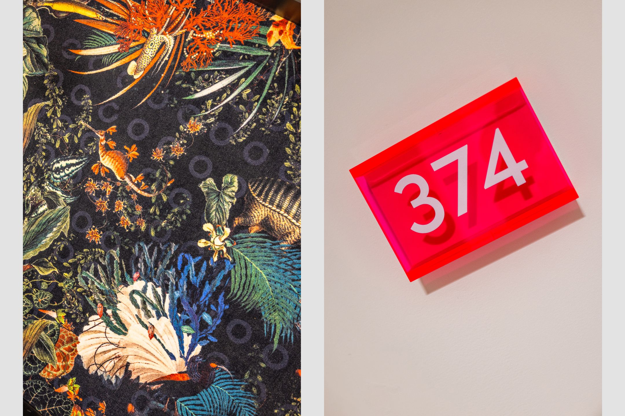 Foto 6 van Hoola van Nootenstraat 374