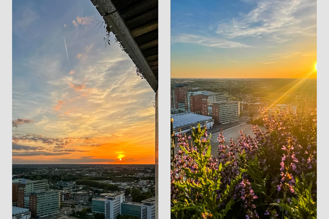 Foto 32 van Hoola van Nootenstraat 374