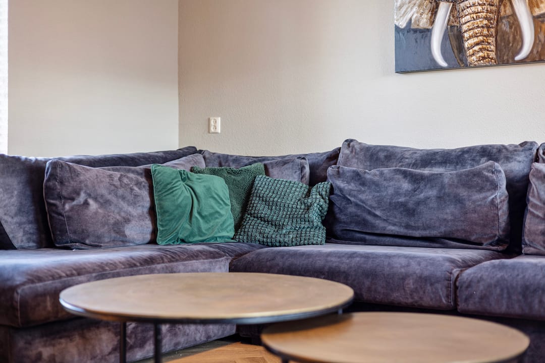 Photo 16 of Heraut 14