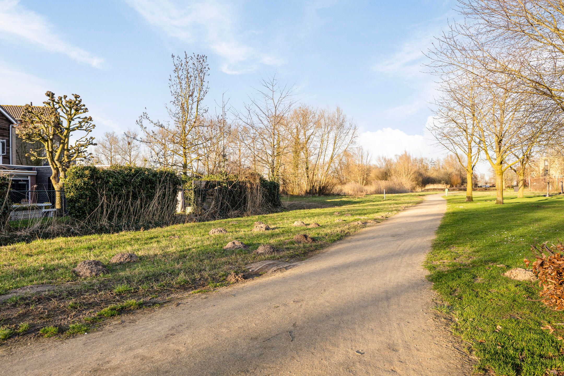 Photo 45 of Heraut 14