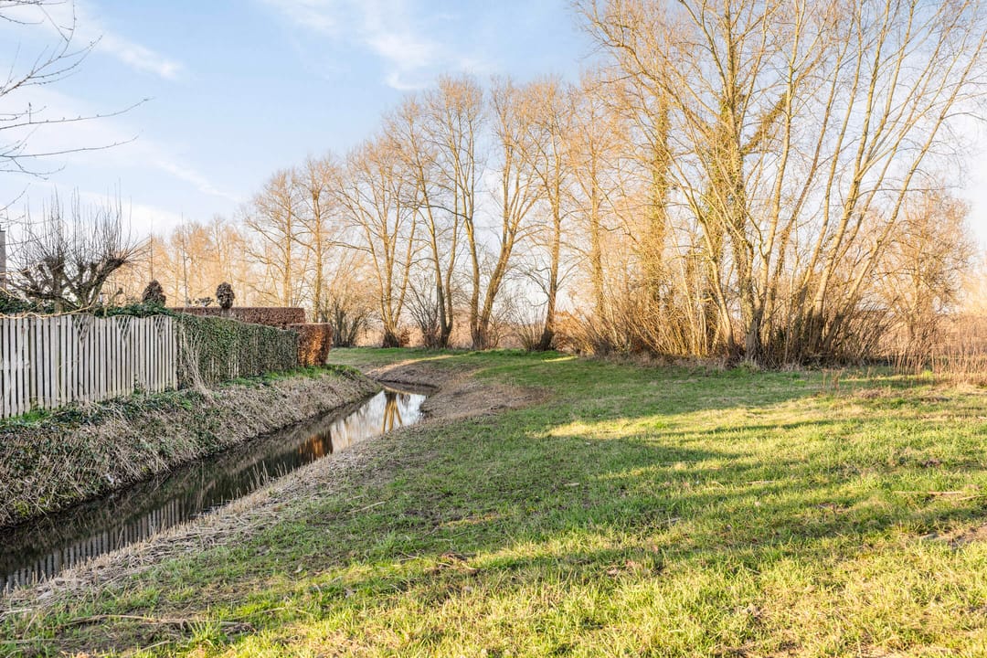 Photo 46 of Heraut 14