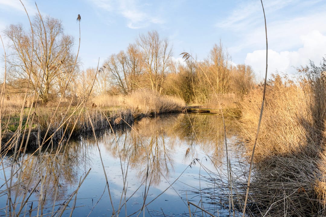 Photo 47 of Heraut 14