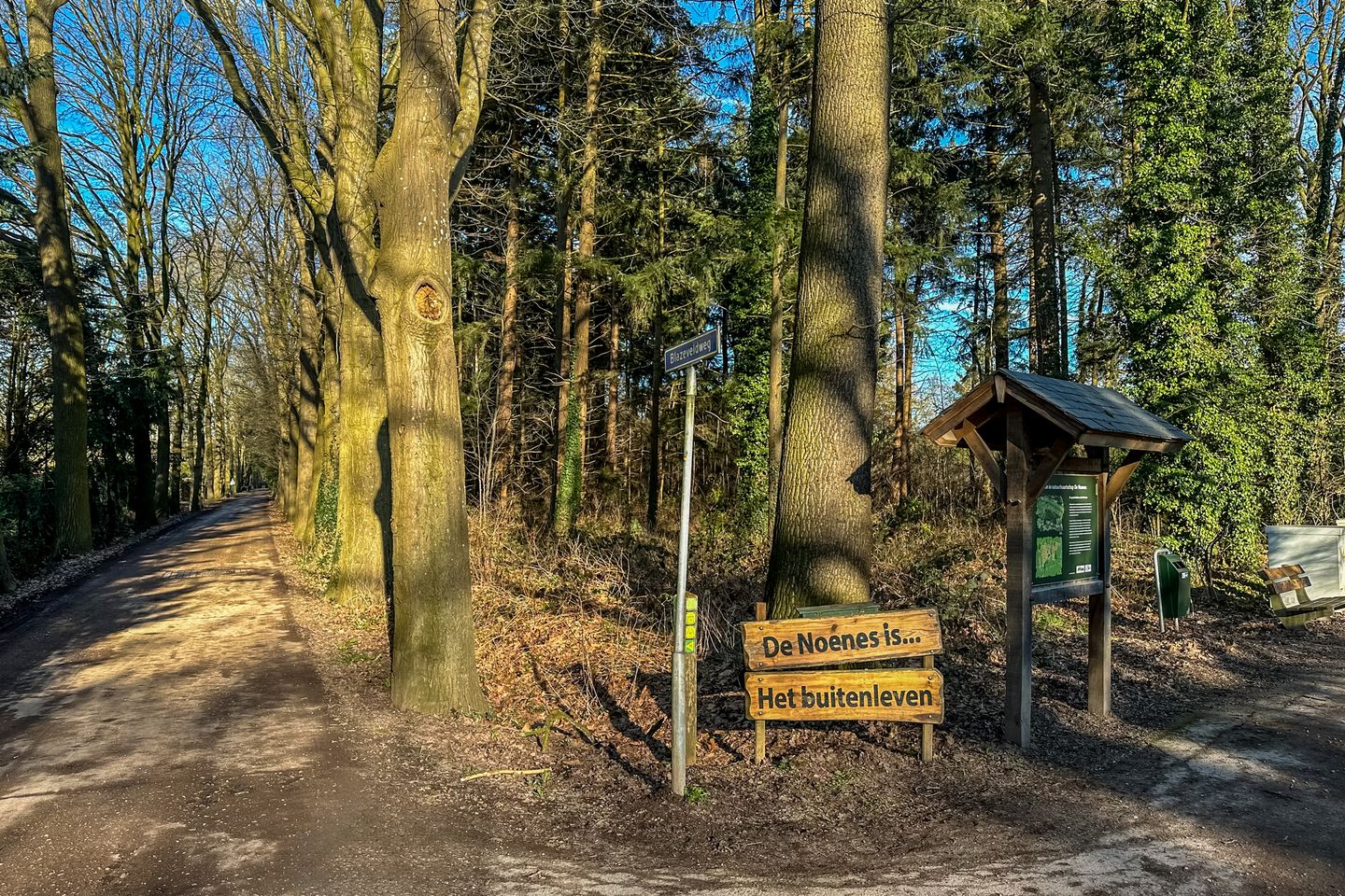 Photo 50 of Blazeveldweg 11