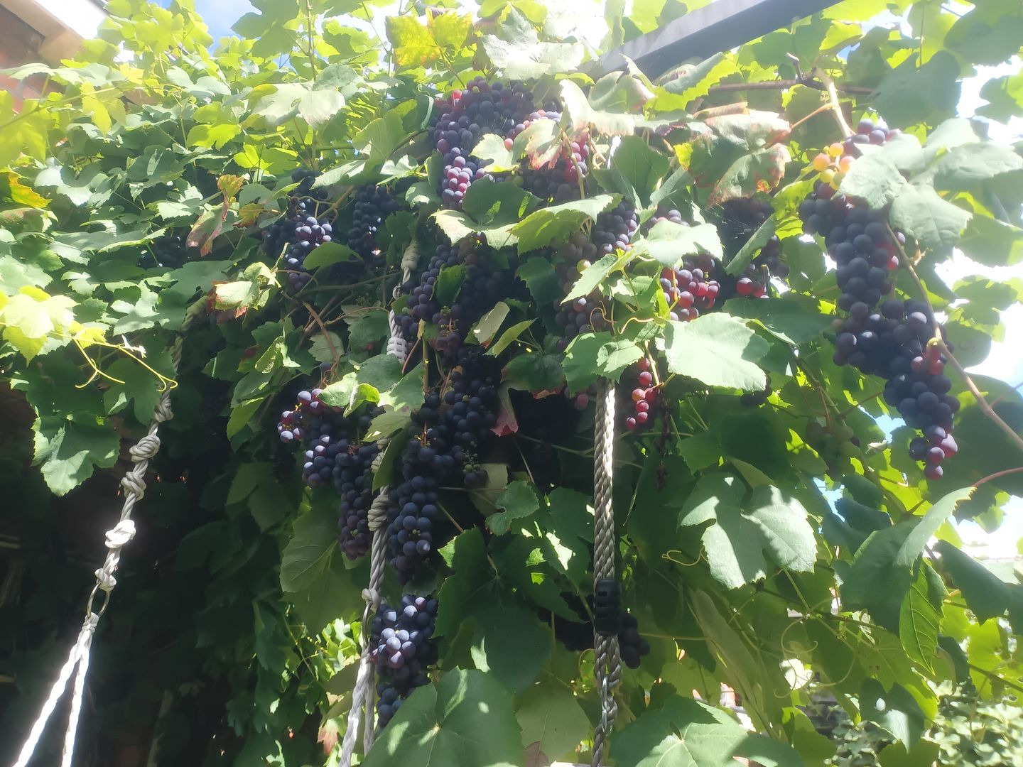 Foto 29 van Kerkstraat 10