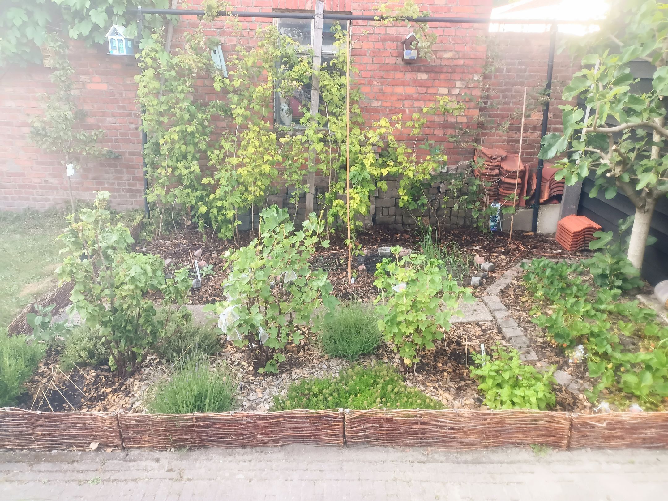 Foto 63 van Kerkstraat 10