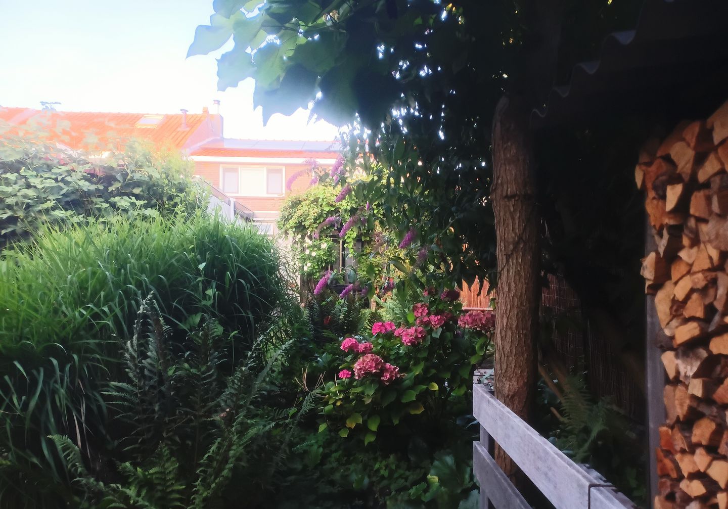 Foto 65 van Kerkstraat 10