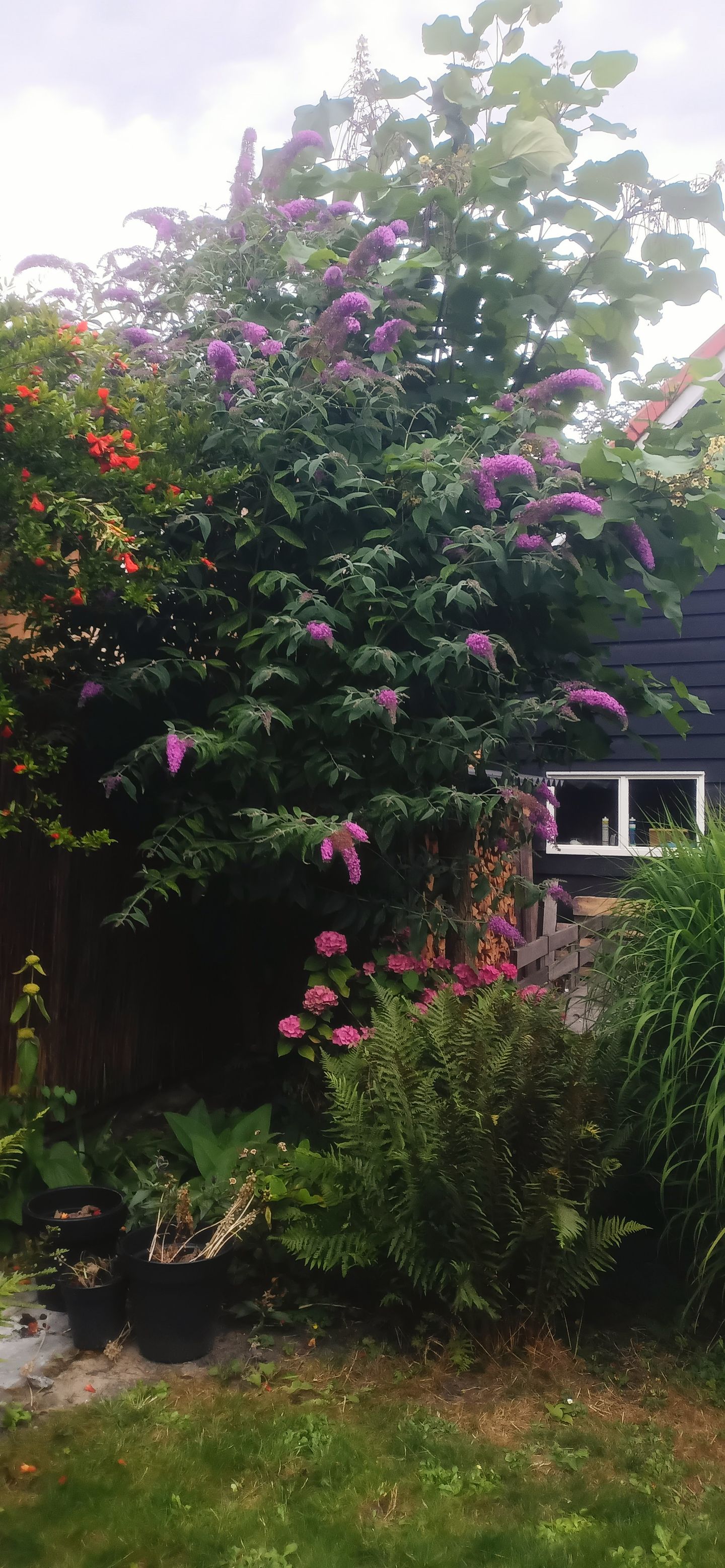 Foto 74 van Kerkstraat 10