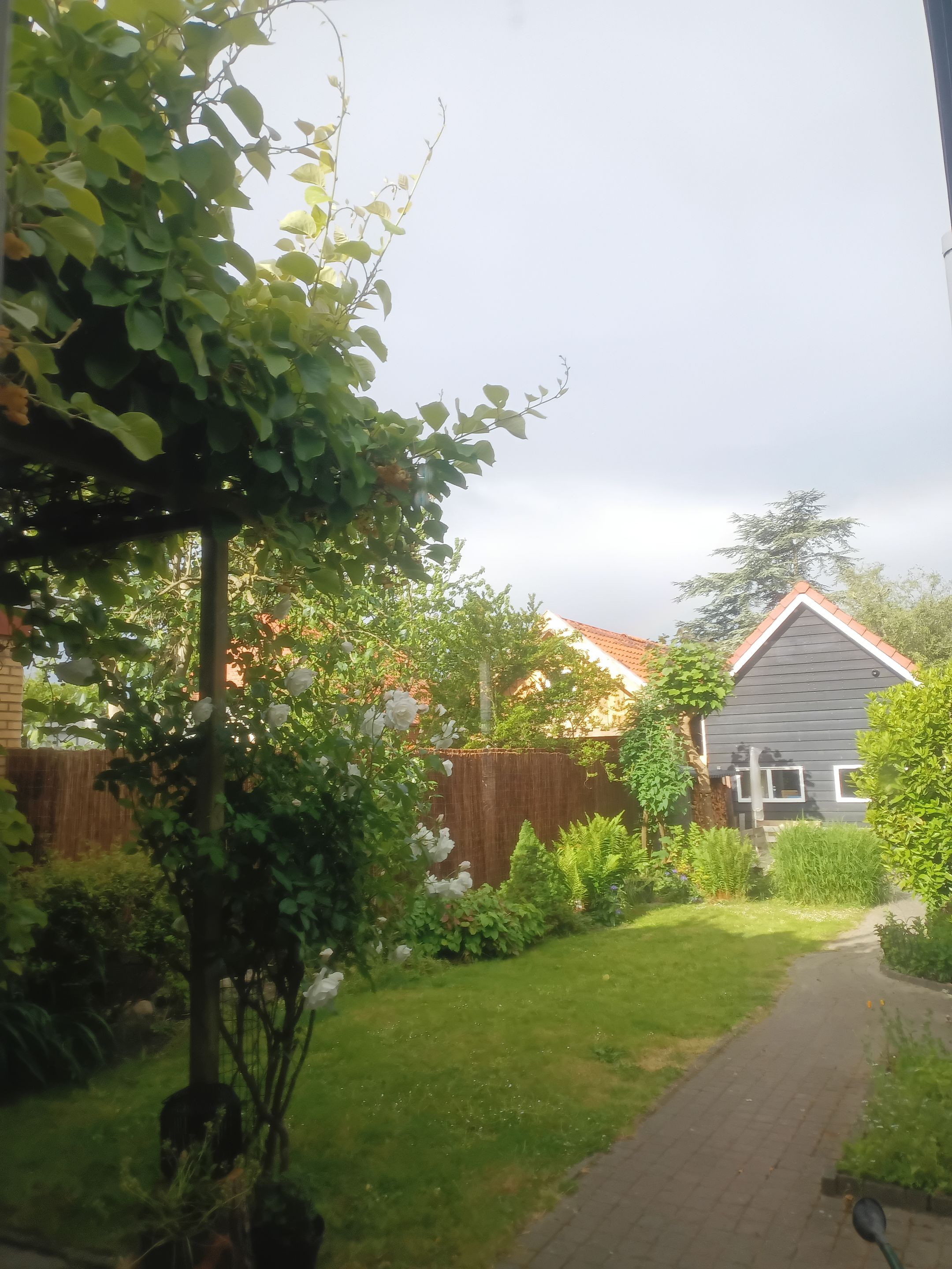 Foto 48 van Kerkstraat 10