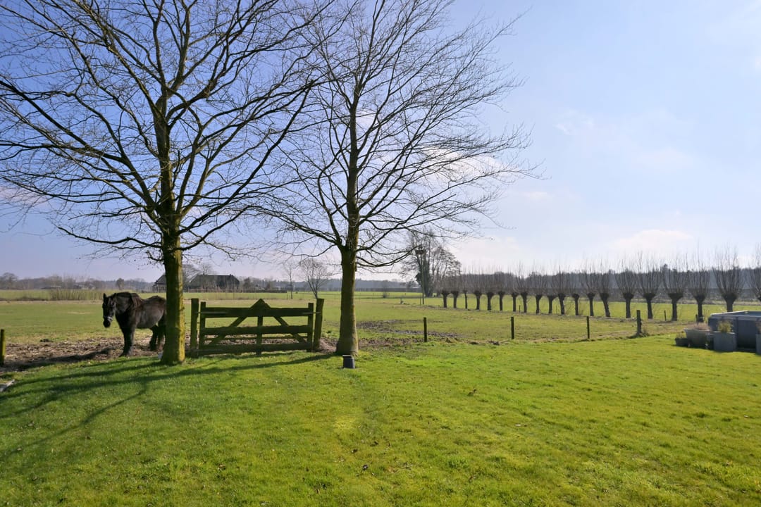 Photo 37 of Avergoorsedijk 6