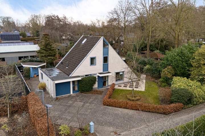 De Friso 6-d main image